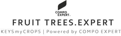 FRUIT.TREES_LOGO FRUIT.TREES_LOGO